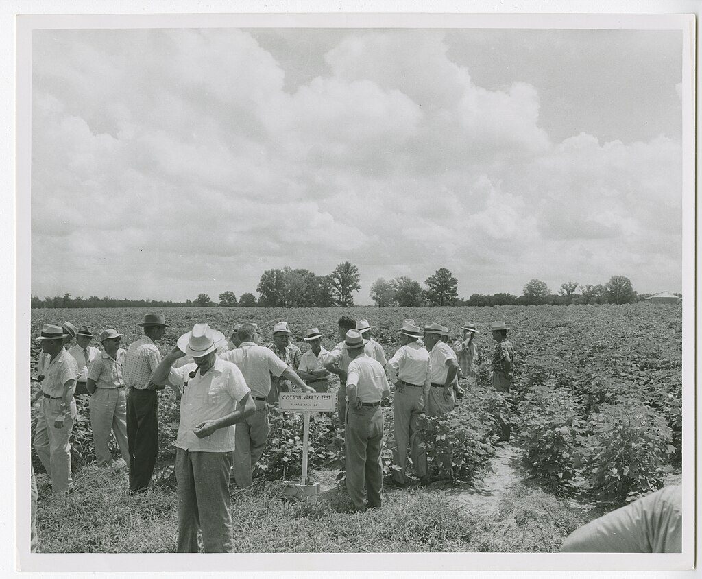 A group of people at a field on a field day.