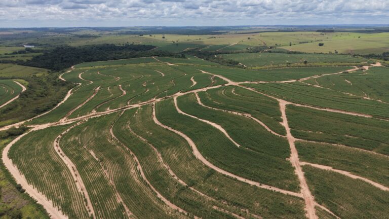 Aerial View of Contour Farming in Green Fields