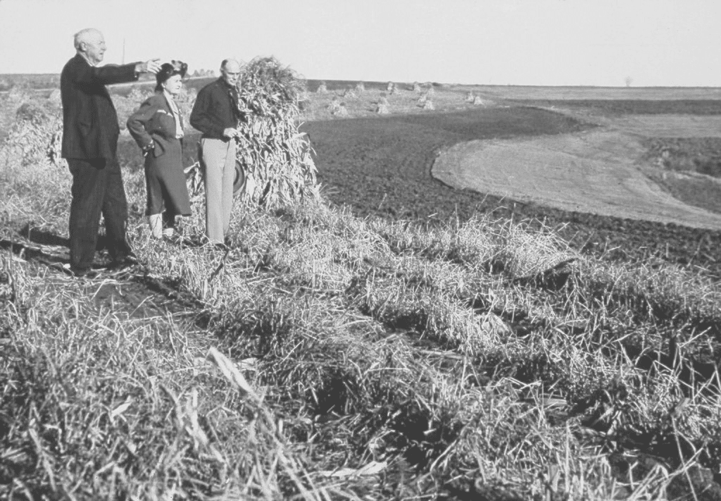 Conservationists inspect a field in Wisconsin.