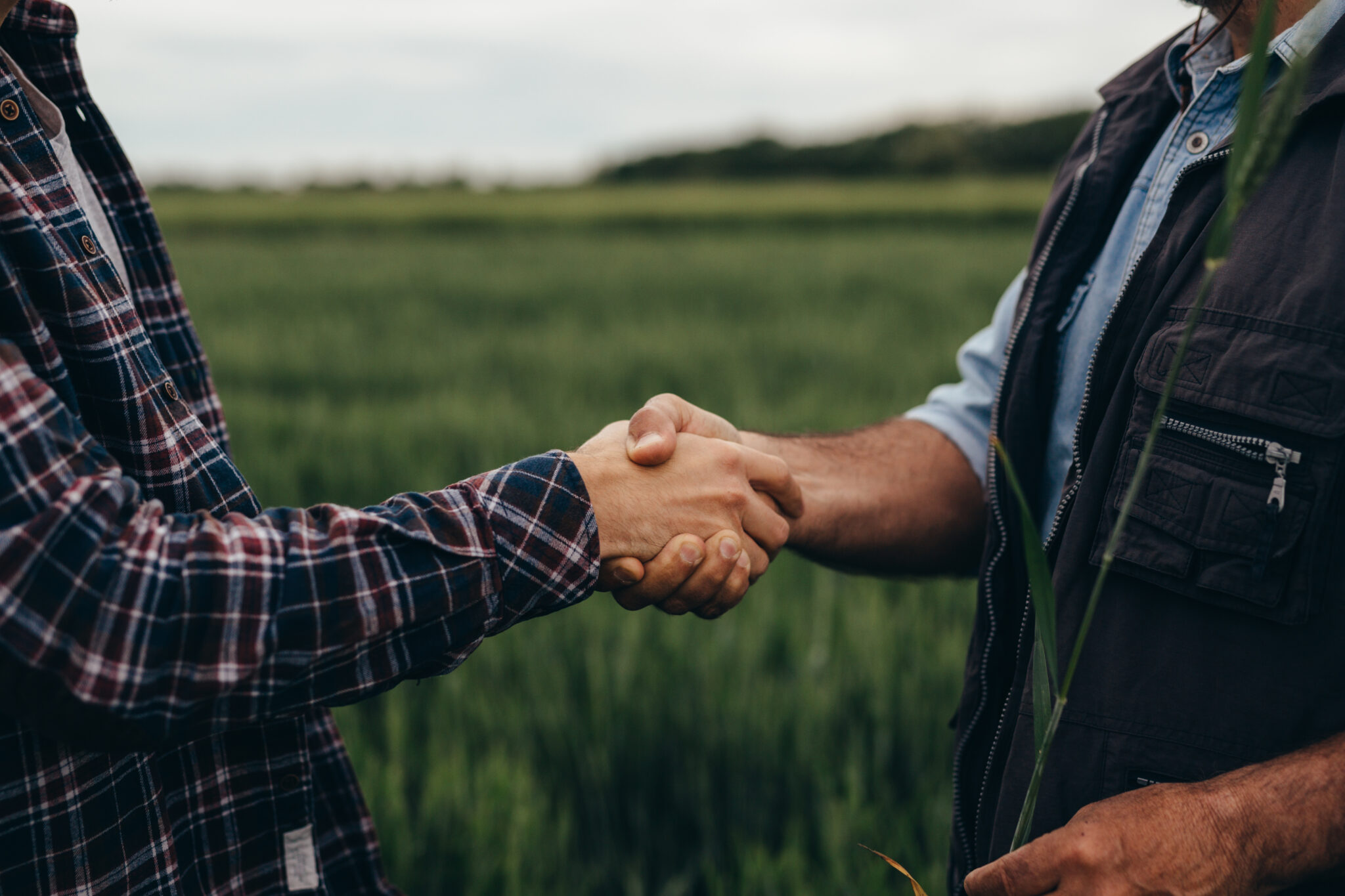 Close-up of two men handshaking in a field