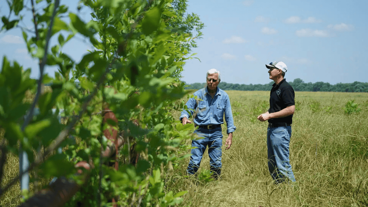 A farmer/rancher and a conservationist checking trees in a field.