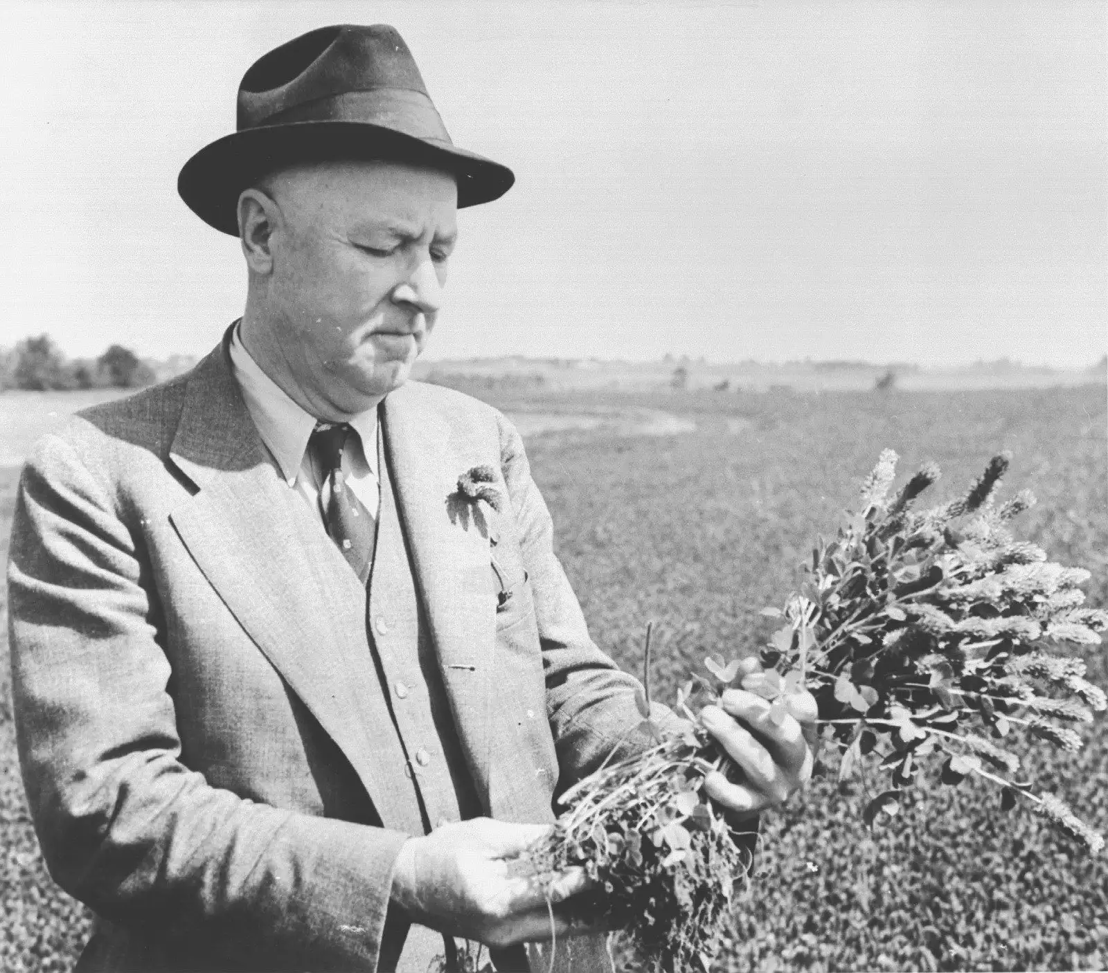 Hugh Hammond Bennett inspecting plants.