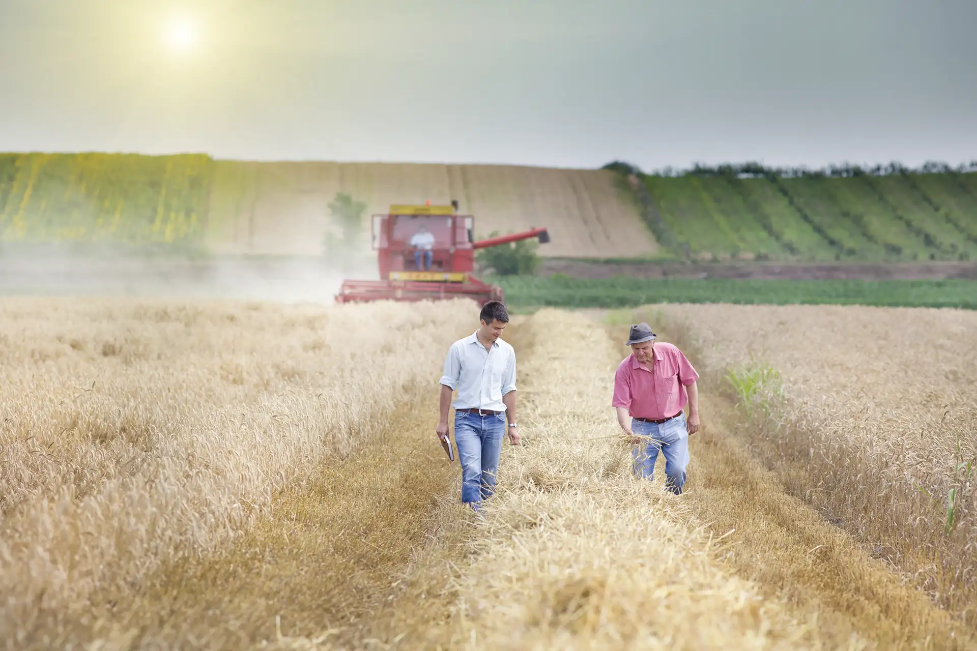 Two farmers walking in a field.