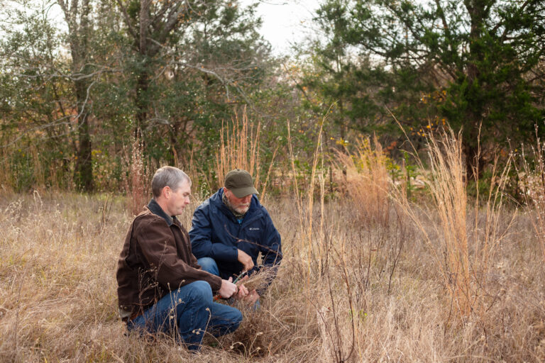 Brandon Bing and a fellow conservationist are checking dry grass next to a wooded area.