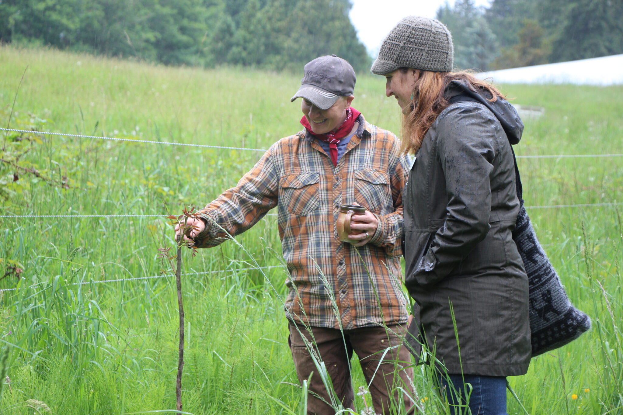 Kelsi is checking plants along a fence with another conservationist.