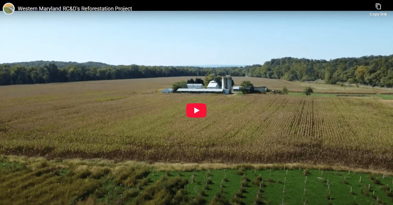 Western Maryland RC&D's Reforestation Project
