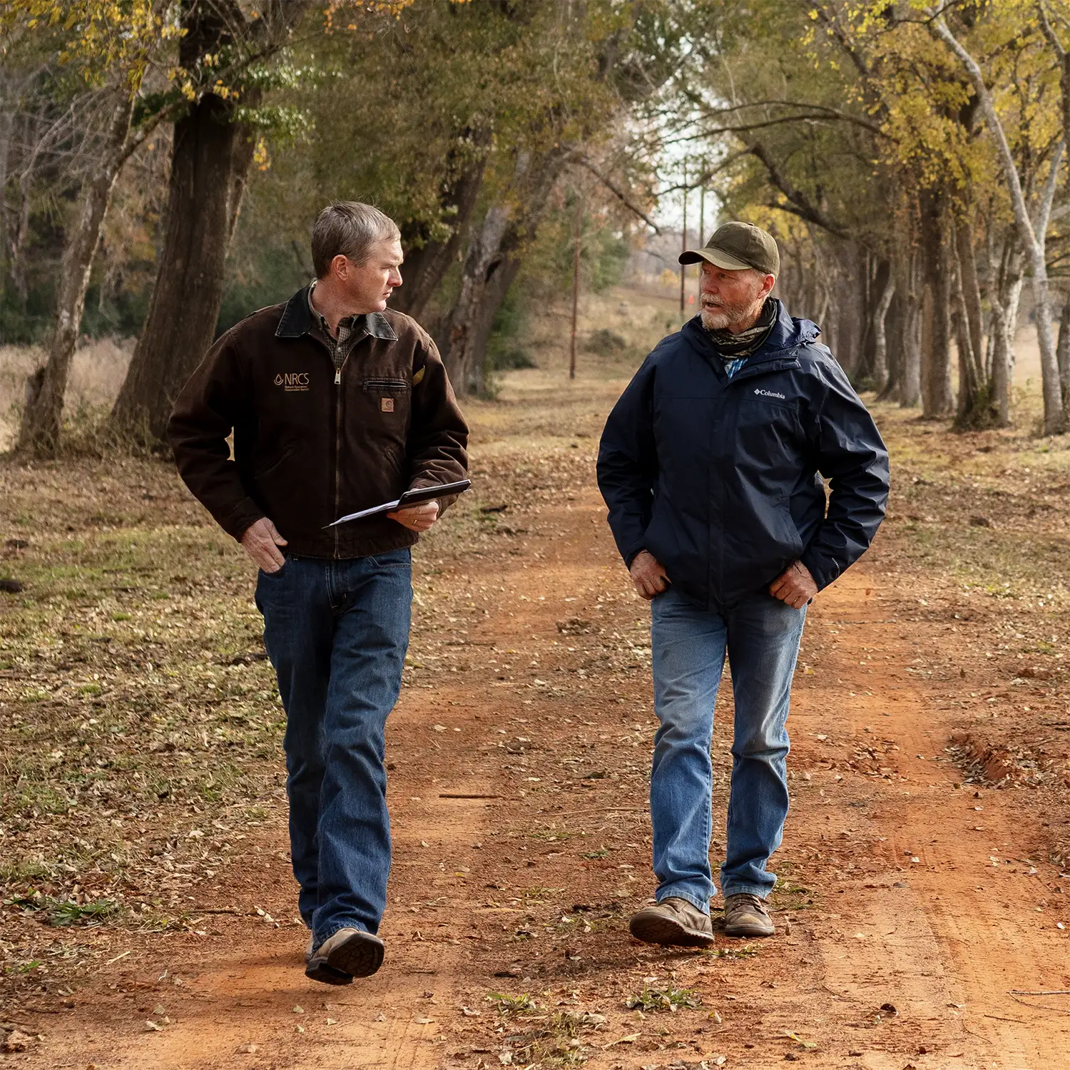 Conservationists walking down a dirt road that is surrounded by trees.