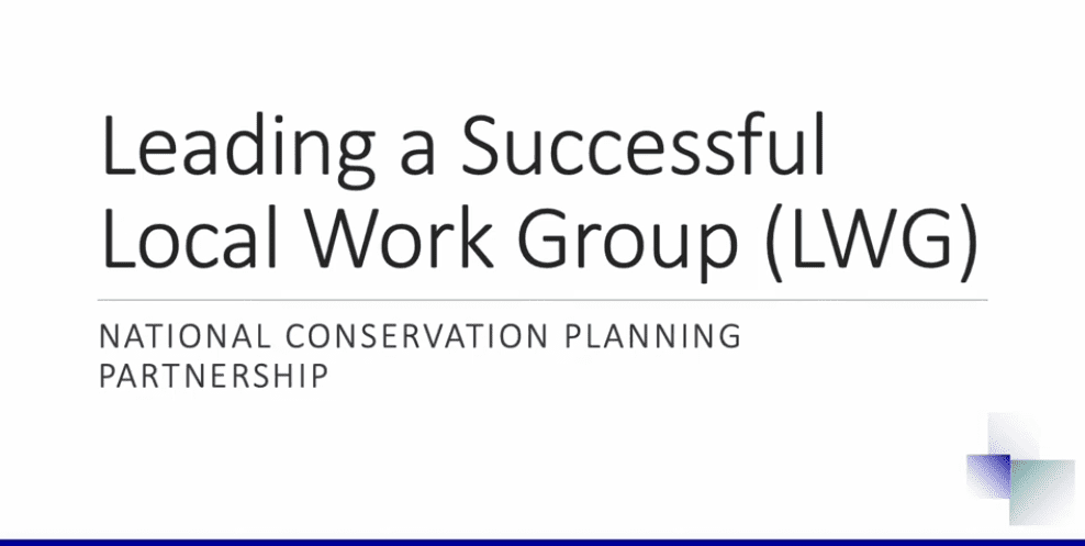 NCPP Leading a Successful Local Work Group